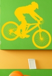 stickers muraux vtt