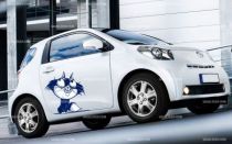 Stickers voiture chat