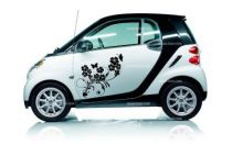 Stickers voiture fleurs
