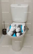 Stickers wc Apollon