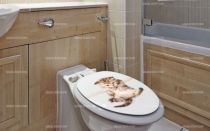 Stickers wc chat